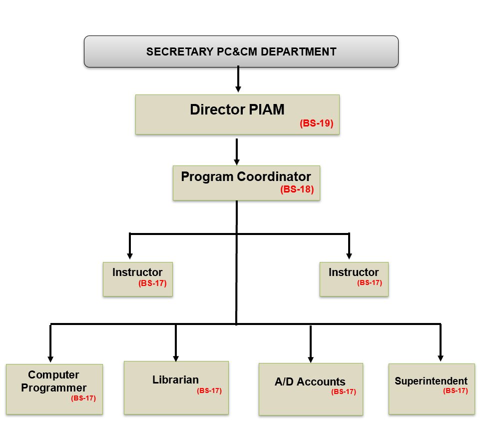 PIAM-ORGANOGRAM
